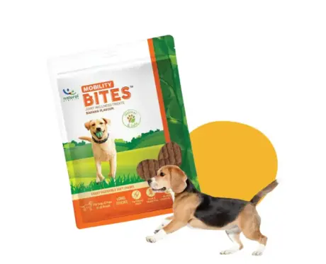 Natural Remedies Mobility Bites Chew Treats for Dogs PetMedicine.co