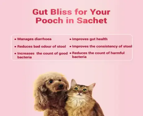 Natgut Granules digestive supplement for pets PetMedicine.co