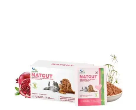 Natural Remedies Natgut Granules for cats and dogs PetMedicine.co