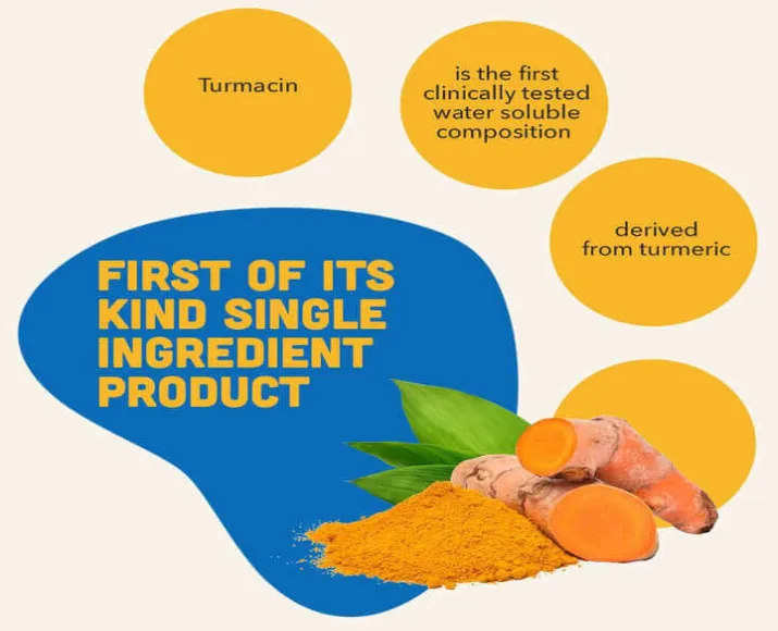 Pet joint care Orthoron Paste by Natural Remedies PetMedicine.co