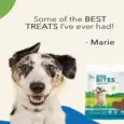 Vet Recommended Smart Bites Chews for Dogs PetMedicine.co