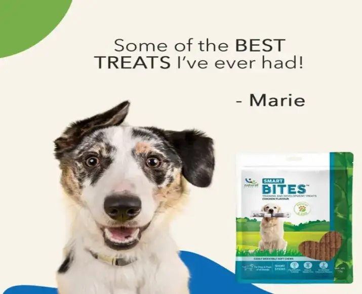 Vet Recommended Smart Bites Chews for Dogs PetMedicine.co