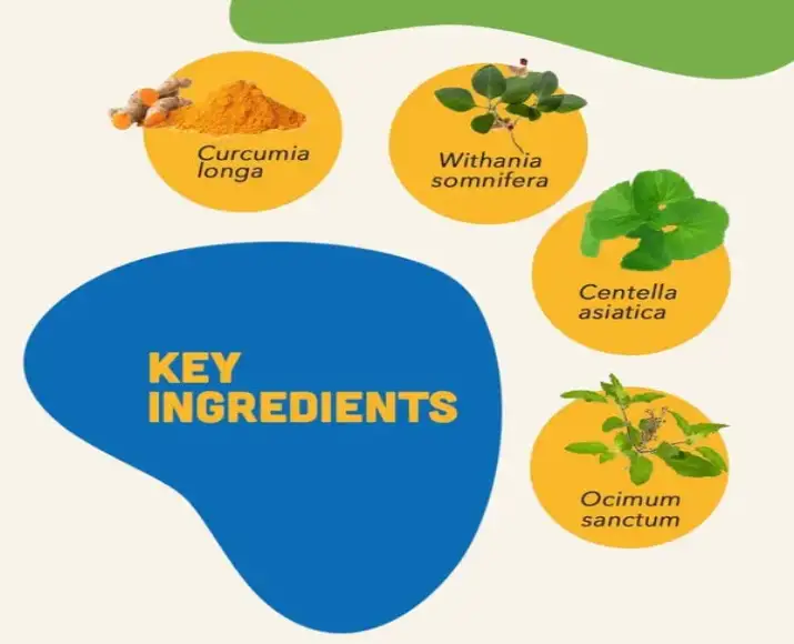 Vet Recommended Smart Bites Chews for Dogs PetMedicine.co