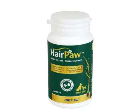 Skyec Hairpaw for Dogs hair growth tablets PetMedicine.co