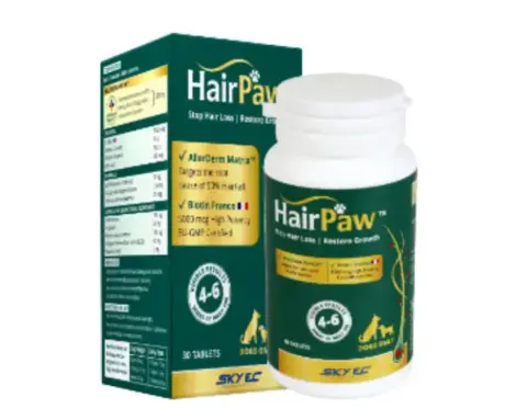 Skyec Hairpaw for Dogs coat care supplement PetMedicine.co