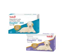 Veko DoxyKo doxycycline tablets for dogs and cats PetMedicine.co