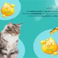 Venttura Amino Acids liquid nutritional supplement for cats PetMedicine.co