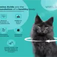 Venttura Amino Acids cat health supplement 100ml PetMedicine.co