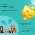 Venttura Amino Acids liquid nutritional supplement for cats PetMedicine.co