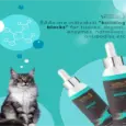 Venttura Amino Acids liquid nutritional supplement for cats PetMedicine.co