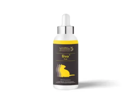 Venttura Livo Plus Cat 100ml liver support syrup for cats PetMedicine.co