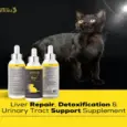 Venttura Livo Plus Cat 100ml liver support syrup for cats PetMedicine.co