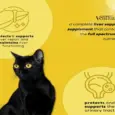 Venttura Livo Plus Cat liver supplement online PetMedicine.co