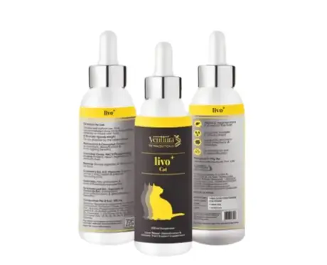 Venttura Livo Plus Cat liver repair supplement for cats PetMedicine.co