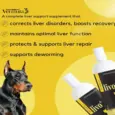 Venttura Livo Plus Liver Syrup 150ml for Dogs PetMedicine.co