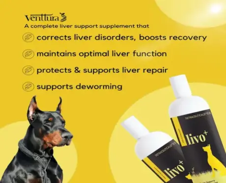 Venttura Livo Plus Liver Syrup 150ml for Dogs PetMedicine.co