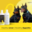 Dog Liver Health Supplement Venttura Livo Plus PetMedicine.co