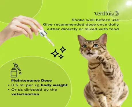 Venttura Omega Plus Cat Skin and Coat Supplement PetMedicine.co