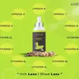Venttura Omega Plus Cat Skin and Coat Supplement PetMedicine.co