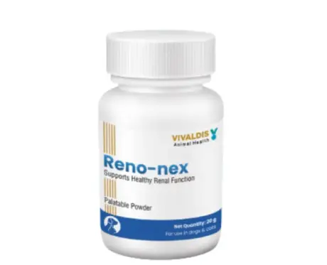 Vivaldis Reno Nex kidney support for dogs and cats PetMedicine.co