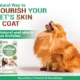 Aimil Furpaw Skin and Coat Supplement for Pets PetMedicine.co