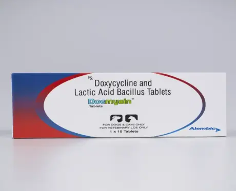 Alembic Docmycin L 100 Antibiotic Tablets for Pets PetMedicine.co