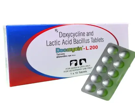 Alembic Docmycin L 200 Antibiotic Tablets for Pets PetMedicine.co