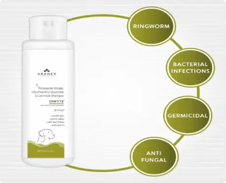 Aranex Onfyte Shampoo Multi Infection Shampoo PetMedicine.co