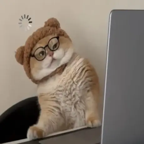 Cat Dewormers : Top 6 Benefits & A Complete Guide for Healthy, Happy Cats | Pet Medicine Blog For Cat dewormer (5)