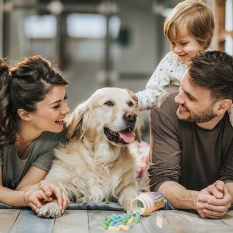 Top 8 FAQs on Deworming Dogs and Cats in India – Answered for Pet Parents | Pet Medicine Cat & Dog Dewormer (2)