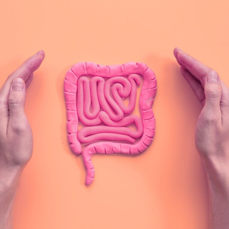 Common Digestive Problems in Dogs & How to Treat Them (2)