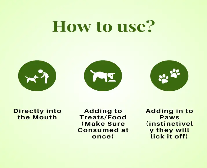 Cure By Design CBD oil 1000 MG for dogs PetMedicine.co