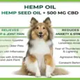 Cure By Design 500 MG CBD Oil for pet anxiety and pain relief – PetMedicine.co