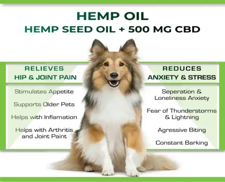 Cure By Design 500 MG CBD Oil for pet anxiety and pain relief – PetMedicine.co