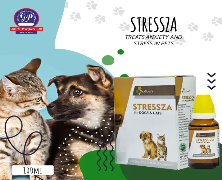 Dr Goels STRESSZA Calming Medicine for Dogs and Cats PetMedicine.co