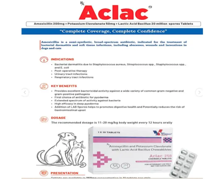 Drools Aclac Tablets Amoxicillin Clavulanate PetMedicine.co