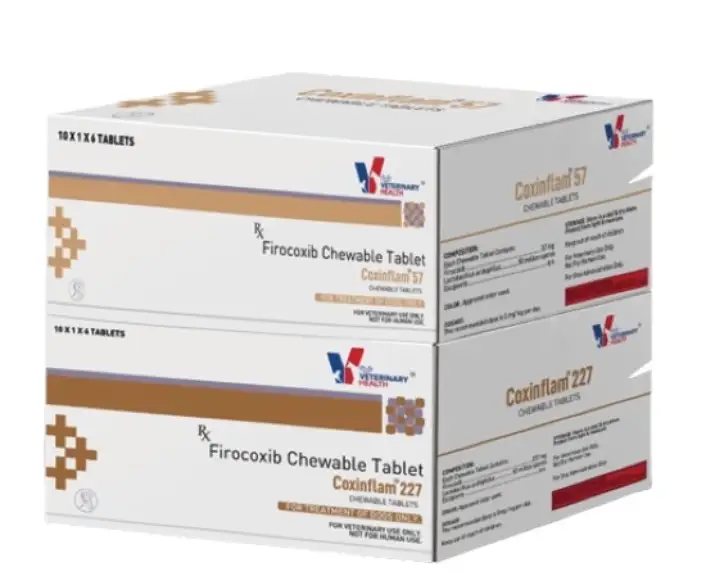 Drools Coxinflam Tablet for Dogs Pain Relief 6 Tablets PetMedicine.co