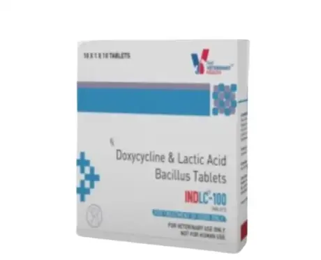Drools INDLC Tablet Antibiotic for Pets 100mg