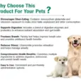 Copro FB Tablets for coprophagia control at PetMedicine.co