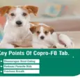 Ecora MPS Copro FB Tablets for pets digestive care PetMedicine.co