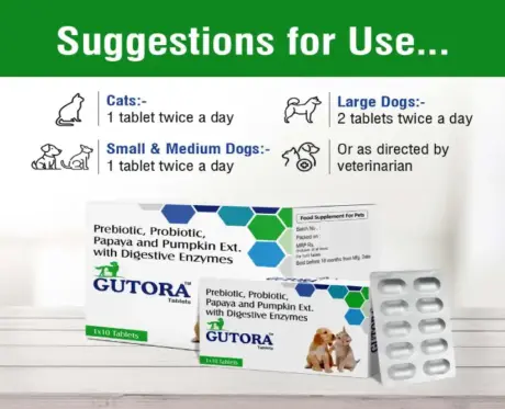 Ecora MPS Gutora Tablets Advanced Gut Health Supplement PetMedicine.co