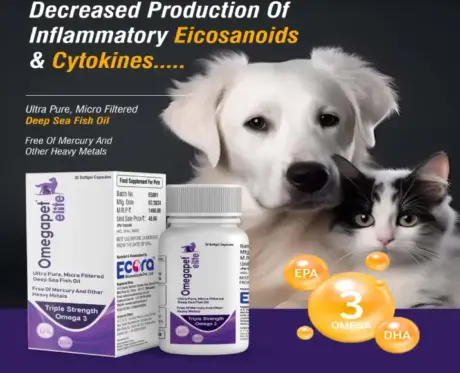 Ecora MPS Omega Pet Elite Joint Skin Heart Supplement PetMedicine.co