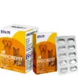 Pancrefit Elite Capsules for Dogs and Cats 10 Capsules PetMedicine.co