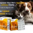 Ecora MPS Pancrefit Elite Capsules for Dogs & Cats PetMedicine.co