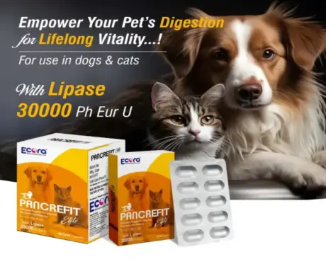 Ecora MPS Pancrefit Elite Capsules for Dogs & Cats PetMedicine.co