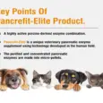 Pancrefit Elite Capsules Digestive Support for Pets PetMedicine.co