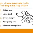 Pancrefit Elite Capsules Digestive Support for Pets PetMedicine.co