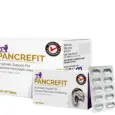MPS Pancrefit Tablets for Dogs & Cats 10 Tablets PetMedicine.co