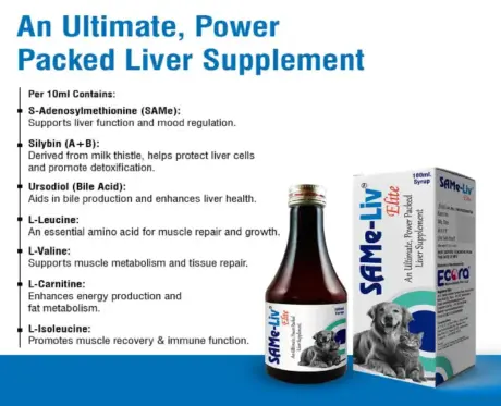 Ecora MPS Same Liv Elite Syrup 100ml Liver Support PetMedicine.co