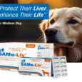 Same Liv Medium Tablets for Liver Support PetMedicine.co